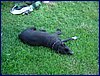 2017-06-03_foto108.jpg