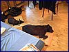 2017-06-03_foto121.jpg