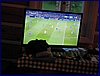 2017-06-03_foto130.jpg