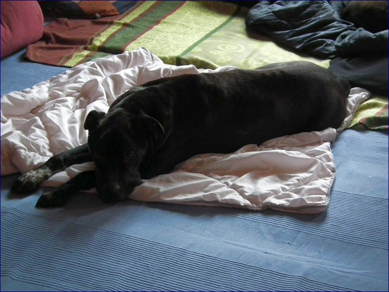 2017-06-04_foto020.jpg