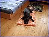 2017-06-04_foto006.jpg