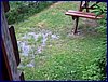 2017-06-04_foto019.jpg