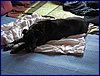 2017-06-04_foto020.jpg