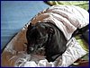2017-06-04_foto026.jpg