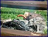 2017-06-05_foto036.jpg