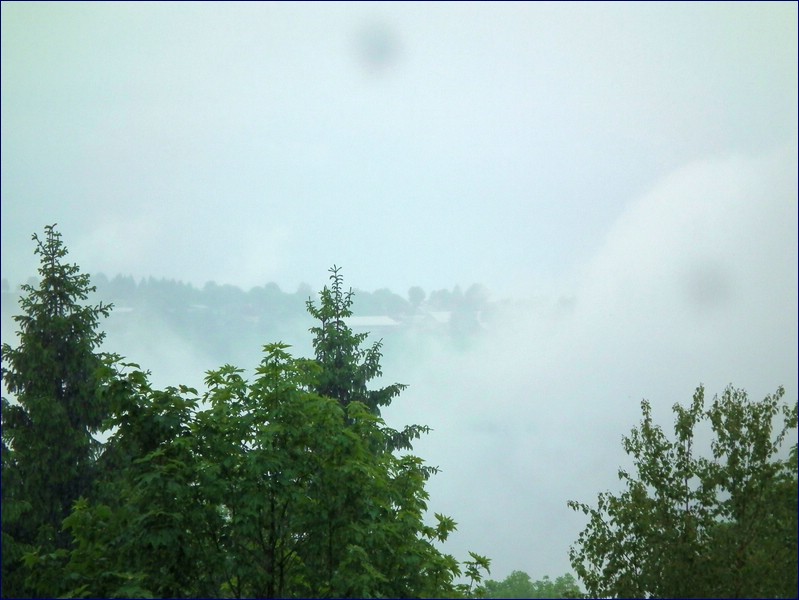 2017-06-06_foto019.jpg