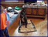 2017-06-06_foto002.jpg