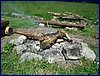 2017-06-06_foto007.jpg