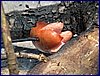 2017-06-06_foto011.jpg