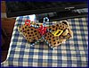 2017-06-07_foto005.jpg