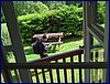 2017-06-08_foto007.jpg