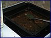 2017-06-08_foto010.jpg