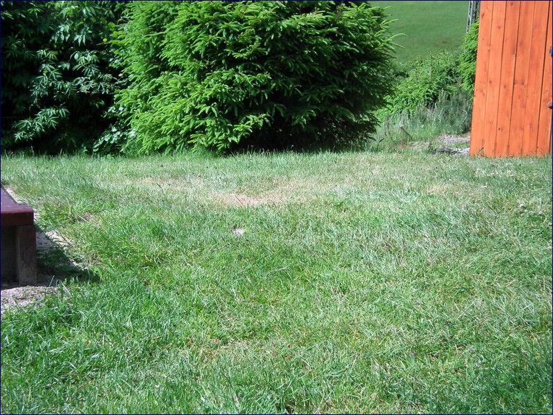 2017-06-09_foto038.jpg
