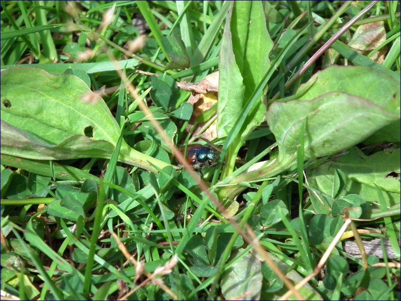 2017-06-09_foto043.jpg