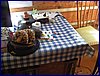2017-06-09_foto031.jpg