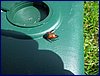 2017-06-09_foto036.jpg