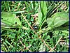 2017-06-09_foto043.jpg