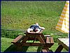 2017-06-09_foto048.jpg
