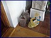 2017-06-09_foto054.jpg