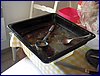2017-06-09_foto056.jpg