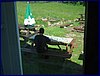 2017-06-09_foto072.jpg