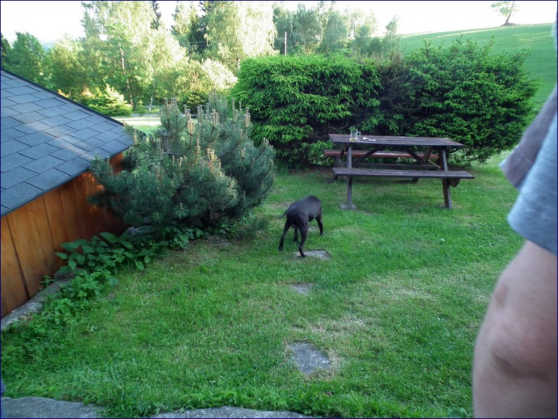 2017-06-02_foto008.jpg
