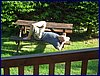2017-06-02_foto006.jpg