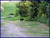 2017-06-02_foto013.jpg