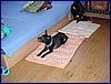 2017-06-02_foto015.jpg
