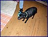 2017-06-02_foto025.jpg