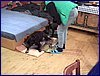 2017-06-02_foto028.jpg