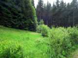 2018-06-03_DSCF1010.jpg