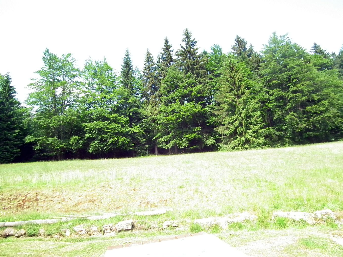 2018-06-03_DSCF1040.jpg