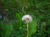 2018-06-05_DSCF1010.jpg