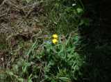 2018-06-05_DSCF1014.jpg