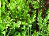 2018-06-05_DSCF1018.jpg