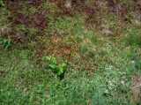 2018-06-05_DSCF1027.jpg