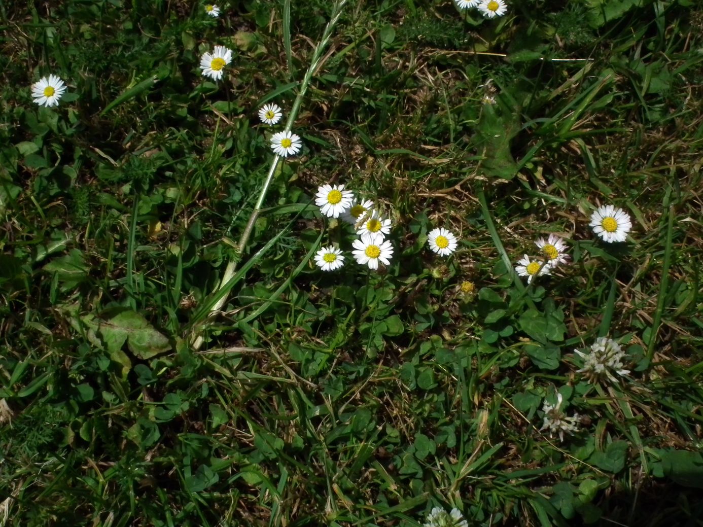 2018-06-05_DSCF1016.jpg