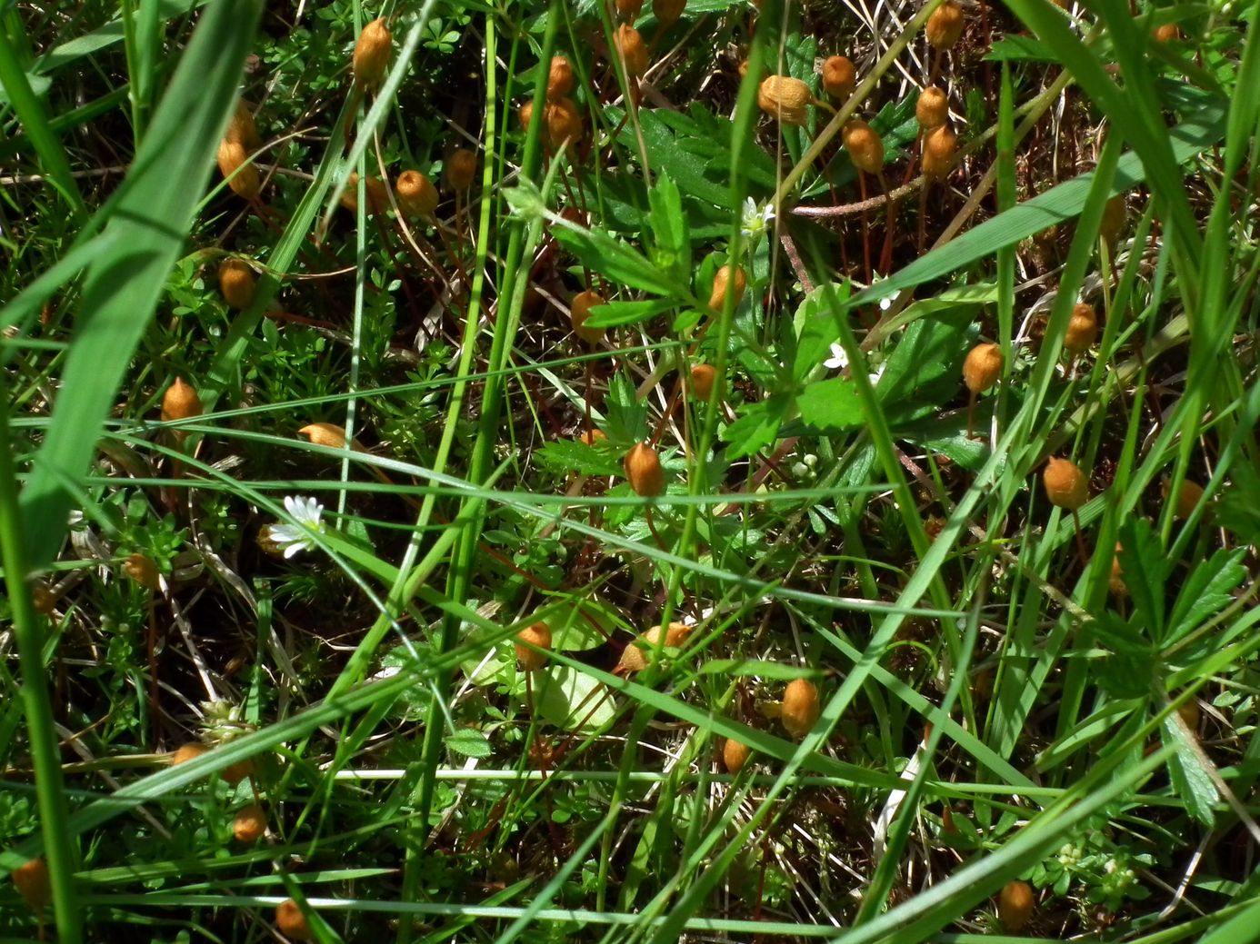 2018-06-05_DSCF1022.jpg