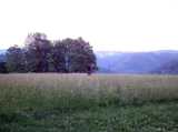 2018-06-08_DSCF1063.jpg