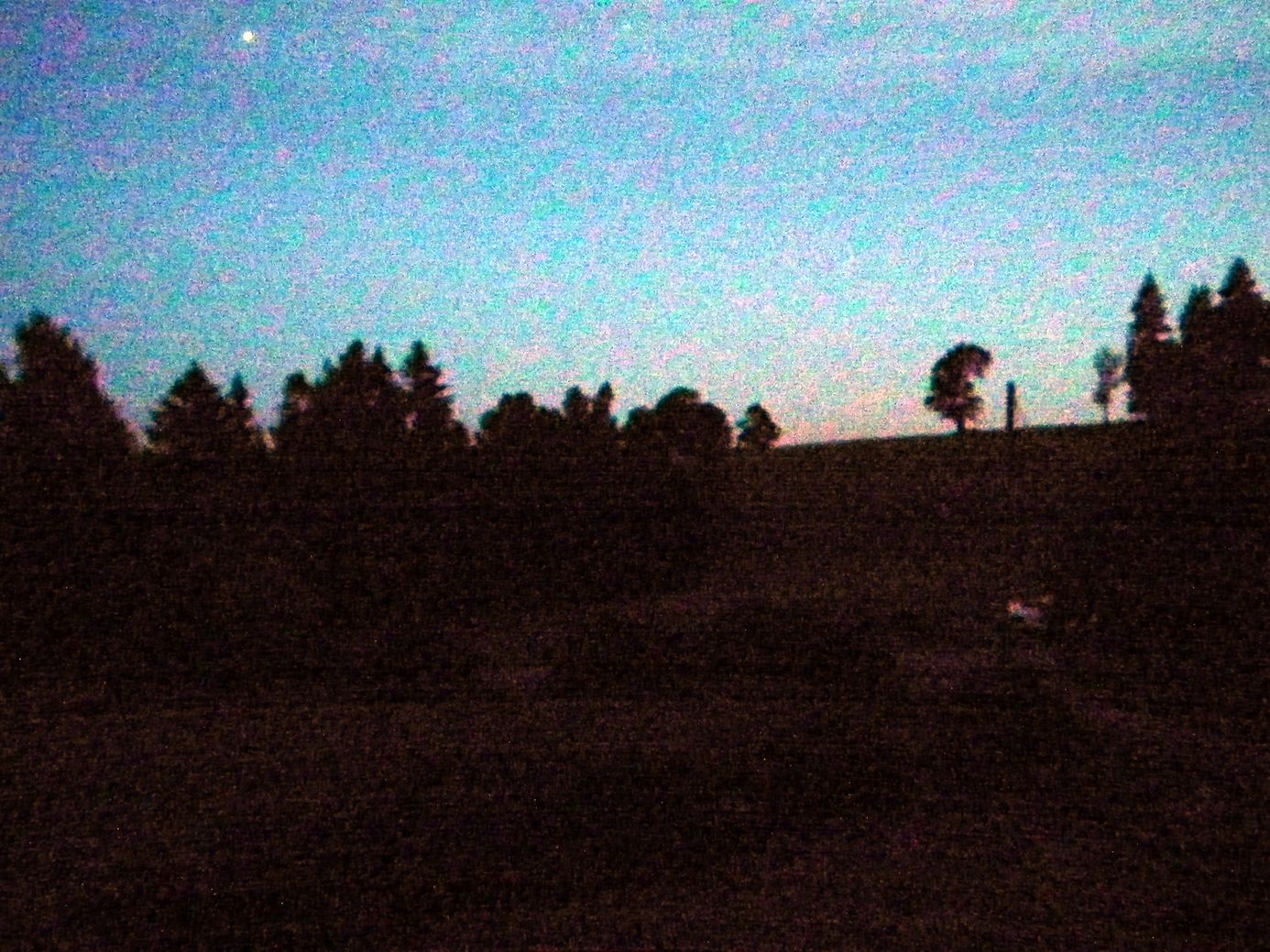 2018-06-09_DSCF1001.jpg