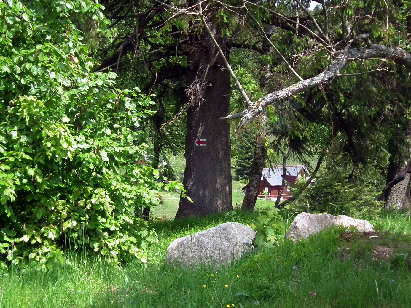 2019-06-01_DSCF1052.jpg