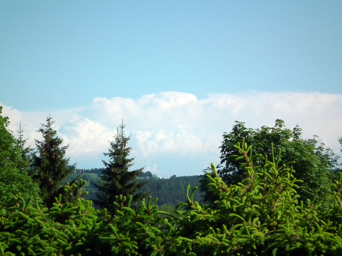2019-06-02_DSCF1031.jpg
