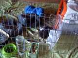 2019-06-03_DSCF1022.jpg
