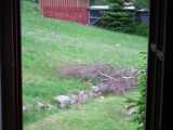 2019-06-04_DSCF1014.jpg