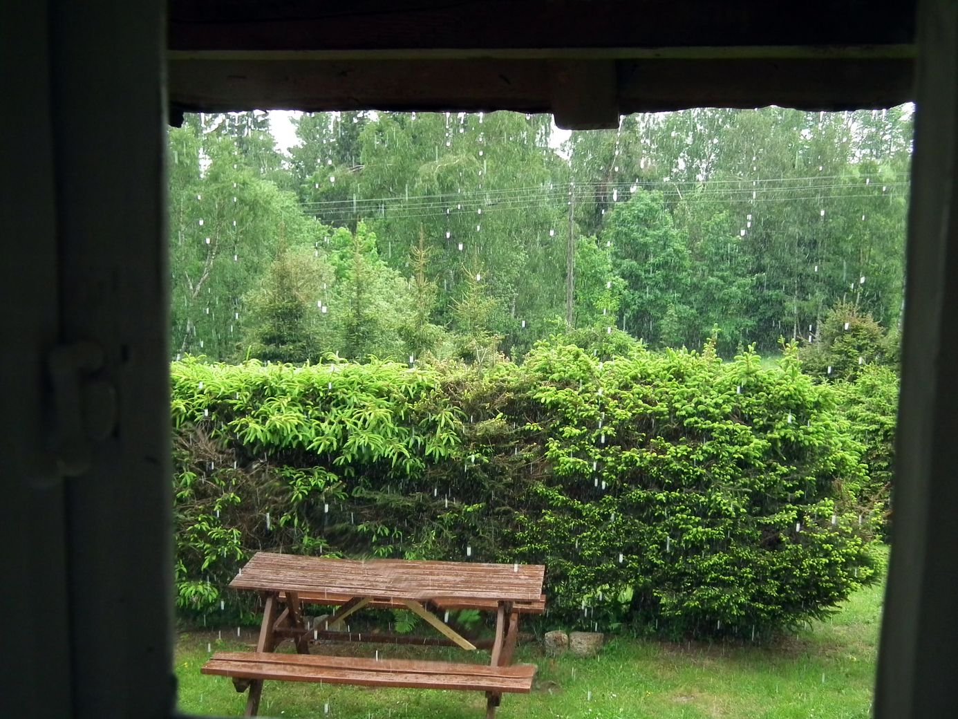 2019-06-04_DSCF1017.jpg