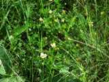 2019-06-06_DSCF1025.jpg