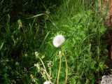 2019-06-08_DSCF1008.jpg