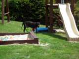 2019-06-01_DSCF1040.jpg