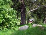 2019-06-01_DSCF1052.jpg
